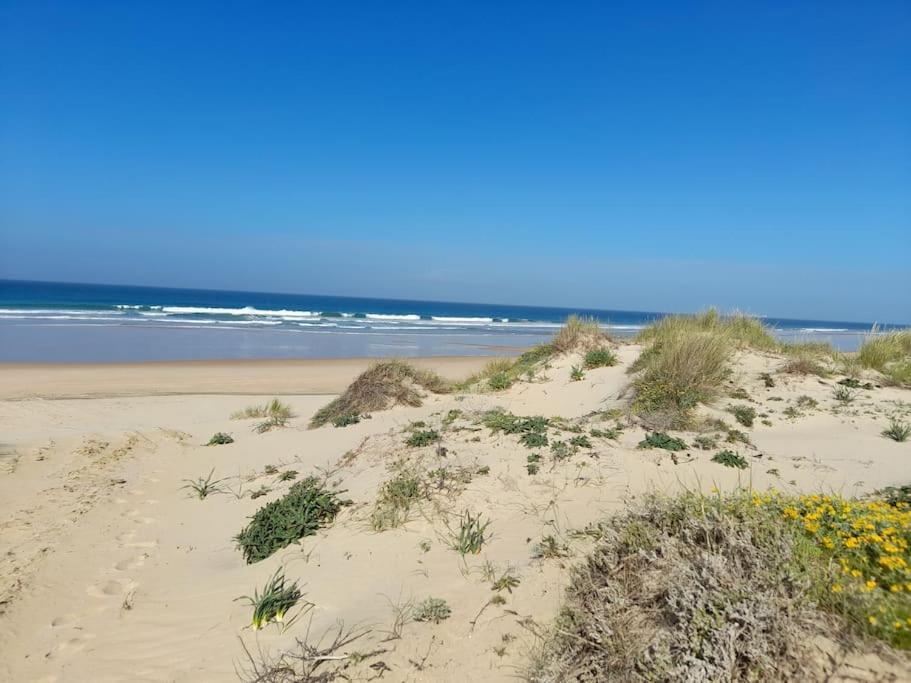 Apartamento Playa La Barrosa Chiclana de la Frontera Luaran gambar