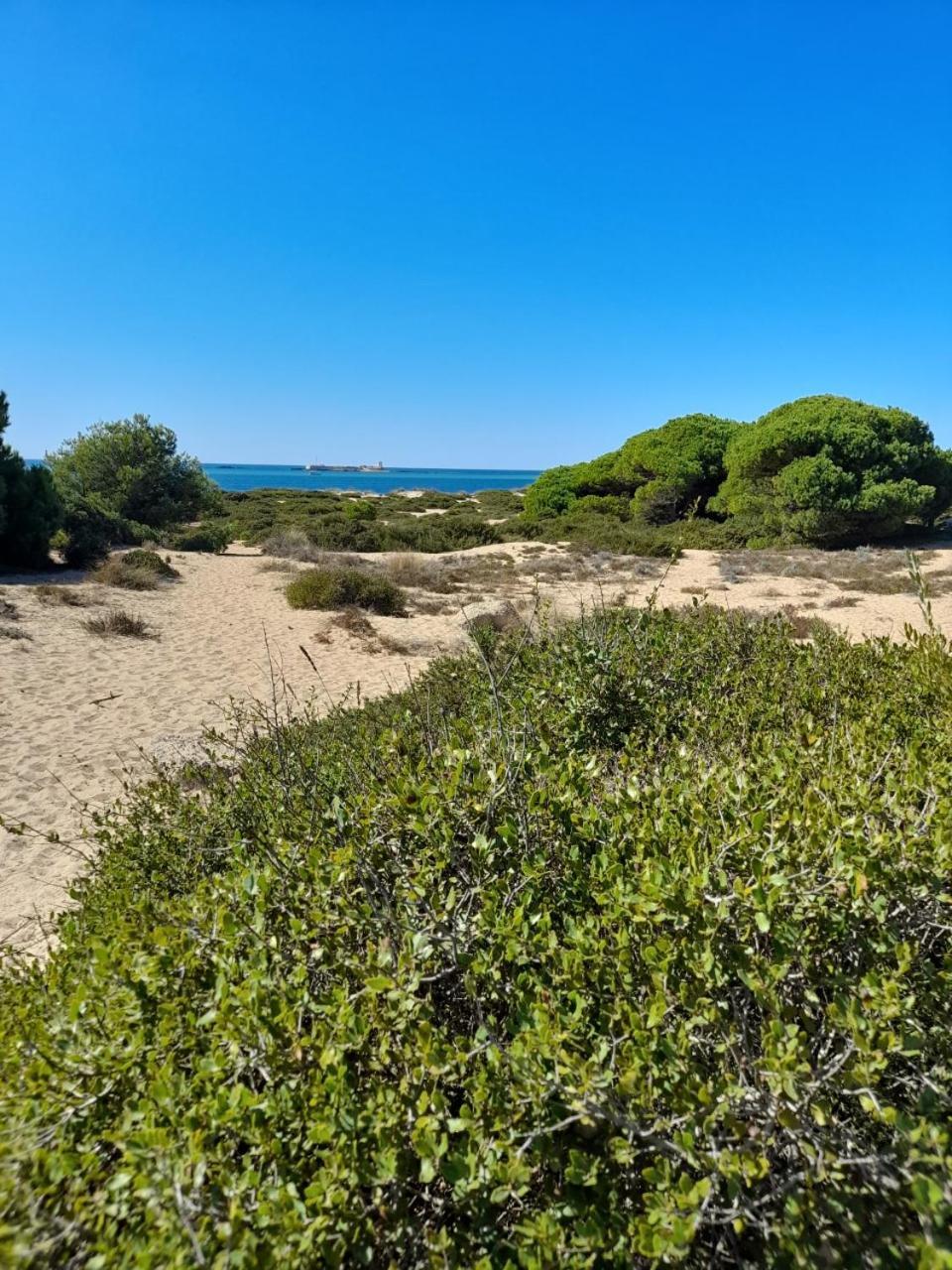 Apartamento Playa La Barrosa Chiclana de la Frontera Luaran gambar